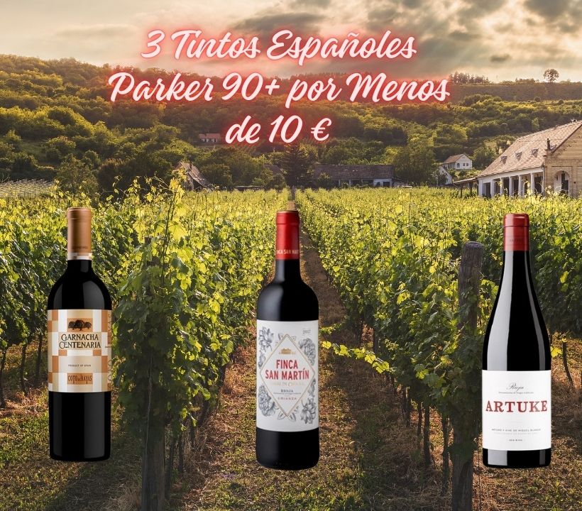 3 vinos tintos españoles con más de 90 puntos Parker por menos de 10 euros